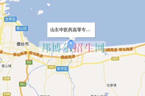山東中醫(yī)藥高等專科學校