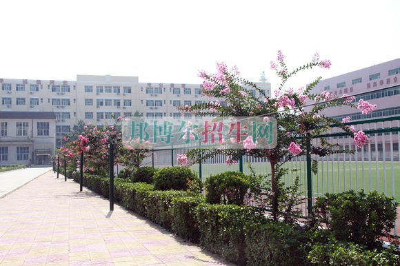 石家莊經濟職業(yè)學院網站網址