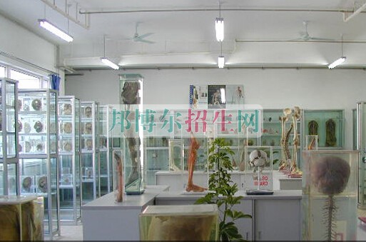 山東省青島衛(wèi)生學校