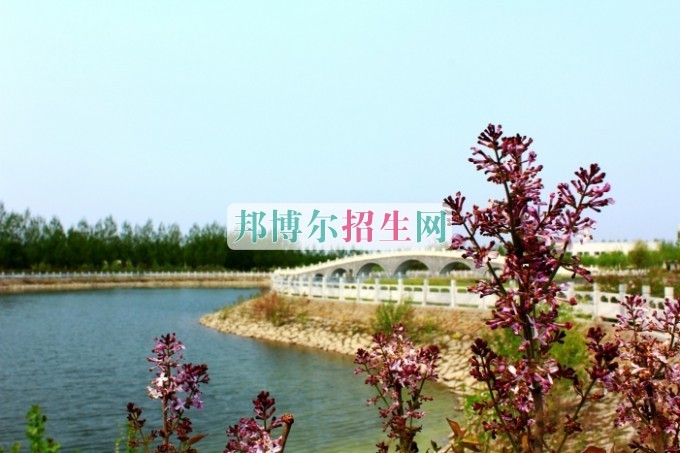 計算機(jī)網(wǎng)絡(luò)技術(shù)學(xué)校有哪些