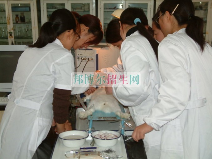 高級護(hù)理怎么樣報名
