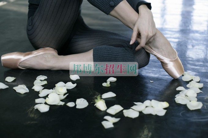 成都男生可以讀藝術教育嗎