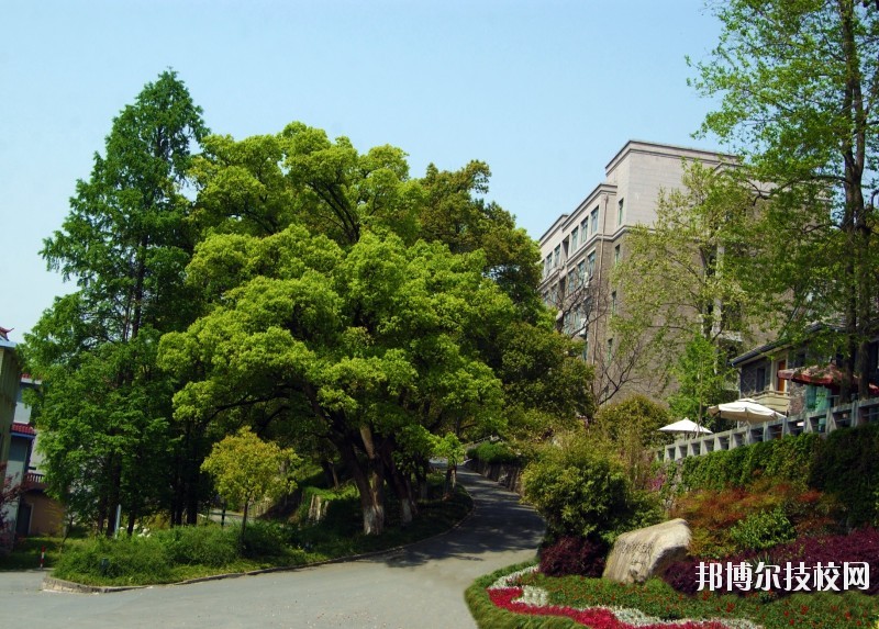 中國(guó)美術(shù)學(xué)院附屬中等美術(shù)學(xué)校2020年報(bào)名條件、招生要求、招生對(duì)象