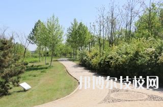 石家莊中英航空中等專業(yè)學校2020年報名條件、招生要求、招生對象