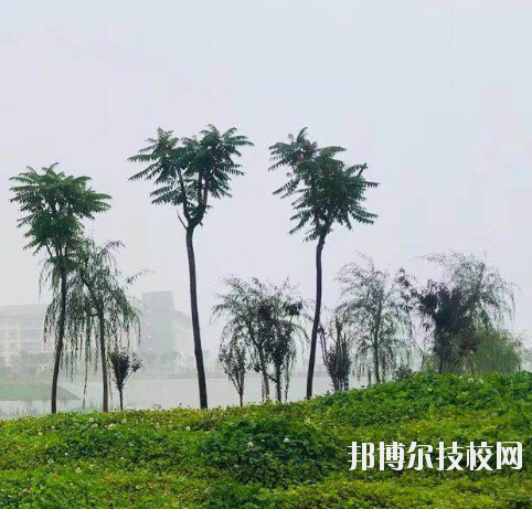 甘肅財(cái)貿(mào)職業(yè)學(xué)院2020年學(xué)費(fèi)、收費(fèi)多少
