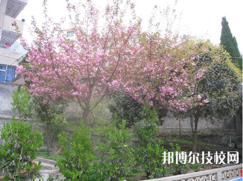 嵐皋縣中等職業(yè)技術(shù)學(xué)校2020年招生辦聯(lián)系電話(huà)