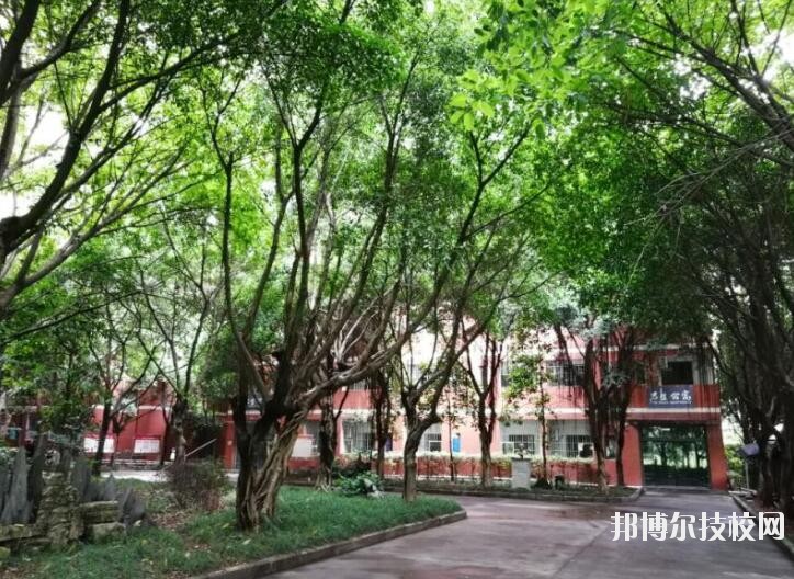 重慶舞蹈學(xué)校2020年報名條件、招生要求、招生對象