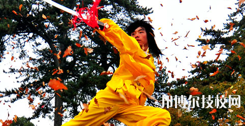平?jīng)鲠轻嘉奈鋵W(xué)校2020年報名條件、招生要求、招生對象