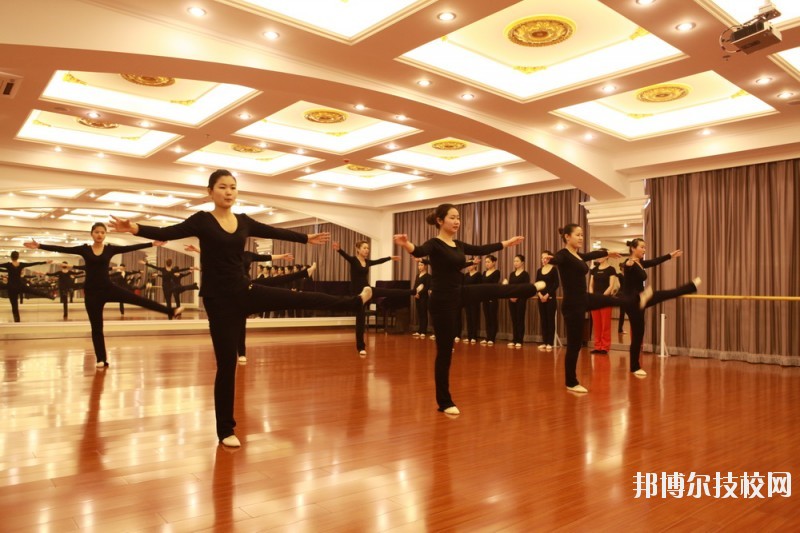 滄州職業(yè)技術(shù)學(xué)院2020年報(bào)名條件、招生要求、招生對象