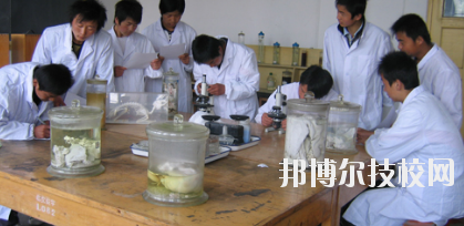 臨夏農(nóng)業(yè)學(xué)校2020年學(xué)費(fèi)、收費(fèi)多少