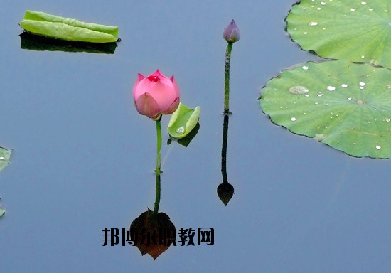 河北美術(shù)學院2020年宿舍條件