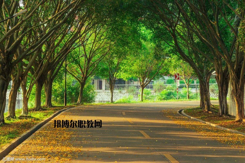 仙桃金園職業(yè)高級(jí)中學(xué)2020年報(bào)名條件、招生要求、招生對(duì)象