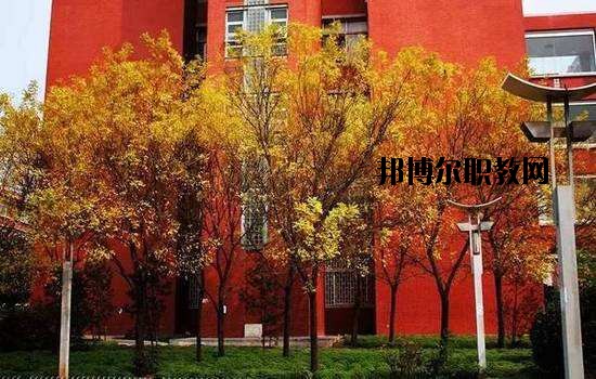 鶴峰職業(yè)技術(shù)學(xué)校2020年報(bào)名條件、招生要求、招生對(duì)象