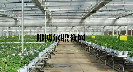 隴南農(nóng)業(yè)學(xué)校怎么樣、好不好