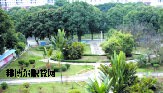 廣西百色農(nóng)業(yè)學(xué)校2020年報名條件、招生要求、招生對象 