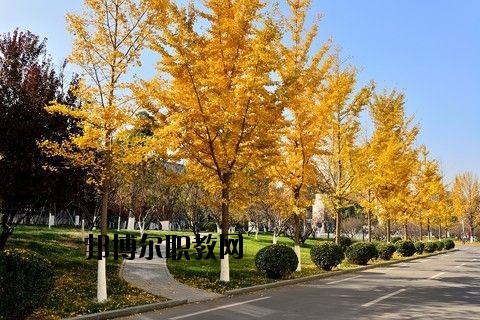 蘄春李時(shí)珍中等專(zhuān)業(yè)學(xué)校怎么樣、好不好