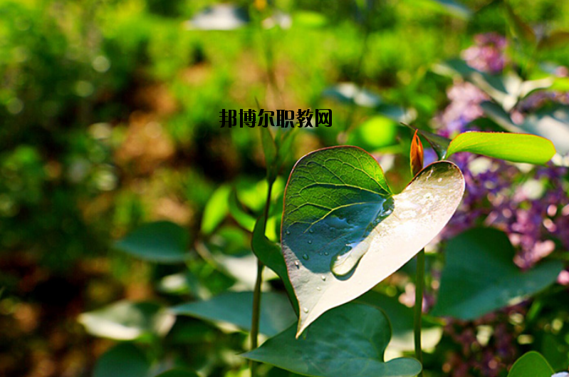 南昌運輸職業(yè)技術學校地址在哪里