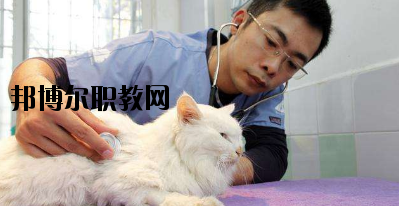 甘南畜牧學(xué)校2020年招生簡章