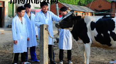 甘南畜牧學(xué)校2020年學(xué)費、收費多少