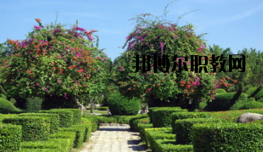 甘南畜牧學校怎么樣、好不好