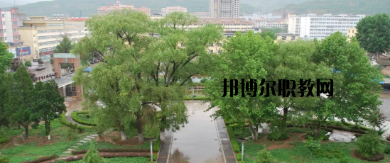 武山職業(yè)中等專業(yè)學校2020年招生錄取分數(shù)線