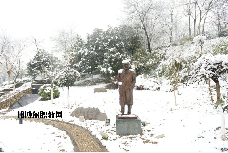 南京工業(yè)大學(xué)2020年報(bào)名條件、招生要求、招生對(duì)象