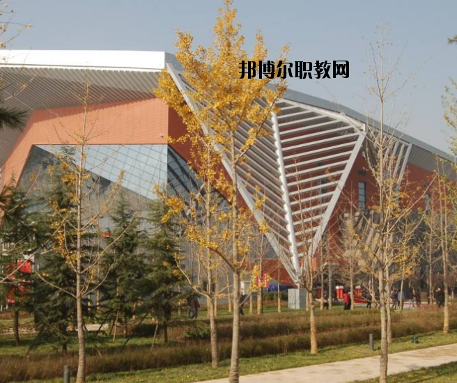 宜昌體育運(yùn)動(dòng)學(xué)校怎么樣、好不好