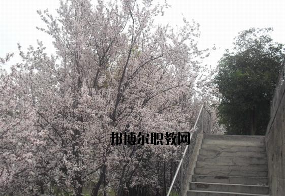 ?？德毥讨行膶W校網(wǎng)址網(wǎng)站