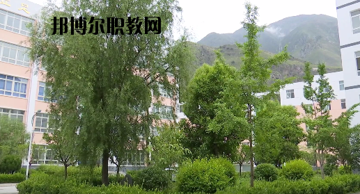 文縣職業(yè)技術(shù)學(xué)校2020年報(bào)名條件、招生要求、招生對(duì)象