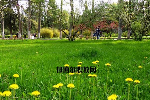 雙江縣職教中心2020年報(bào)名條件、招生要求、招生對(duì)象