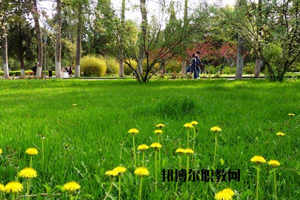 雙江縣職教中心怎么樣、好不好