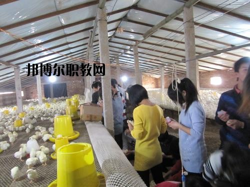 通許中等職業(yè)學(xué)校2021年學(xué)費(fèi)、收費(fèi)多少