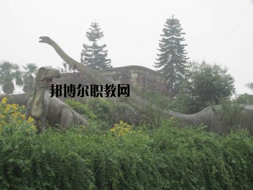 自貢三星職業(yè)技術(shù)學(xué)校2020年報(bào)名條件、招生要求、招生對(duì)象