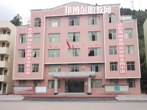 巴州區(qū)漁溪職業(yè)中學(xué)2020年有哪些專(zhuān)業(yè)