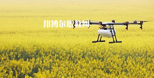 安徽省農(nóng)業(yè)廣播電視學(xué)校2020年招生簡章