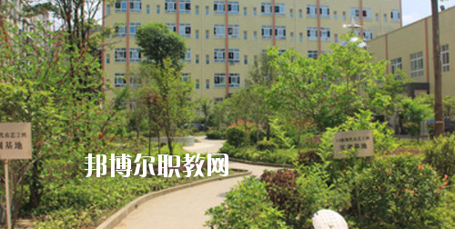 道真中等職業(yè)學(xué)校2020年報(bào)名條件、招生要求、招生對(duì)象