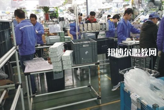 遂溪縣職業(yè)技術學校2020年報名條件、招生要求、招生對象