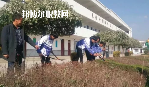 秦安縣古城農業(yè)中學網(wǎng)站網(wǎng)址