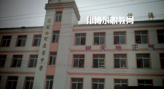 禮縣白河農業(yè)中學網站網址