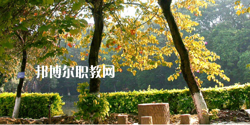 廣西民族中等專(zhuān)業(yè)學(xué)校怎么樣、好不好