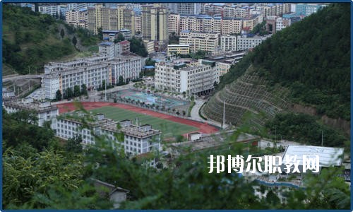 廣元朝天職業(yè)中學2020年報名條件、招生要求、招生對象