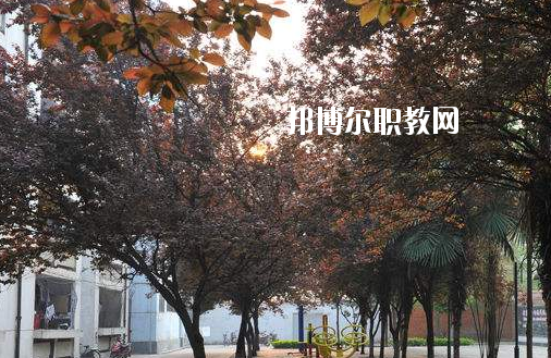 棗陽第二職業(yè)高級(jí)中學(xué)4
