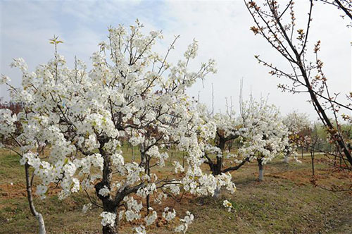 宿遷高等師范學(xué)校怎么樣、好不好
