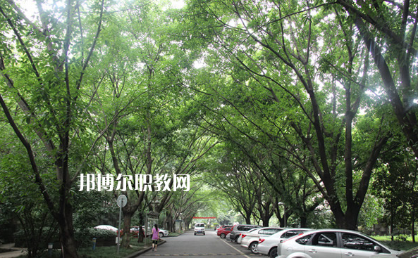 重慶2021年中專學(xué)?？梢钥即髮W(xué)嗎