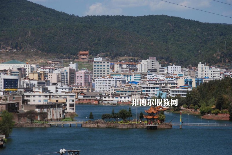 牟定縣職業(yè)高級中學2021年有哪些專業(yè)