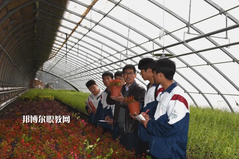 靖遠(yuǎn)職業(yè)教育中心2022年學(xué)費(fèi)、收費(fèi)多少
