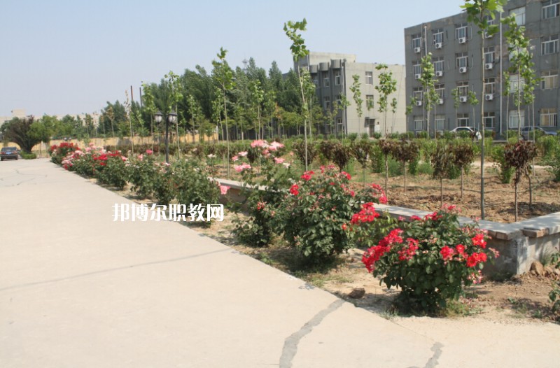 武強綜合職業(yè)技術(shù)教育中心2022年報名條件、招生要求、招生對象