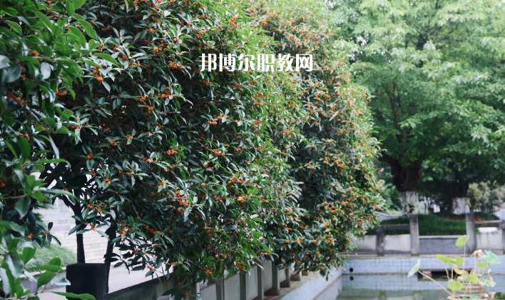 德陽通用電子科技學校怎么樣、好不好