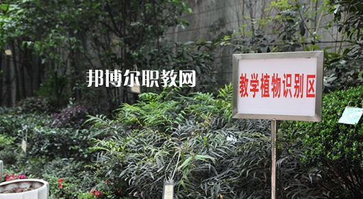 重慶風(fēng)景園林技工學(xué)校2022年學(xué)費(fèi)、收費(fèi)多少