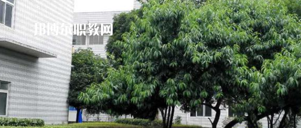 成都市中山職業(yè)技術(shù)學校2022年報名條件、招生要求、招生對象